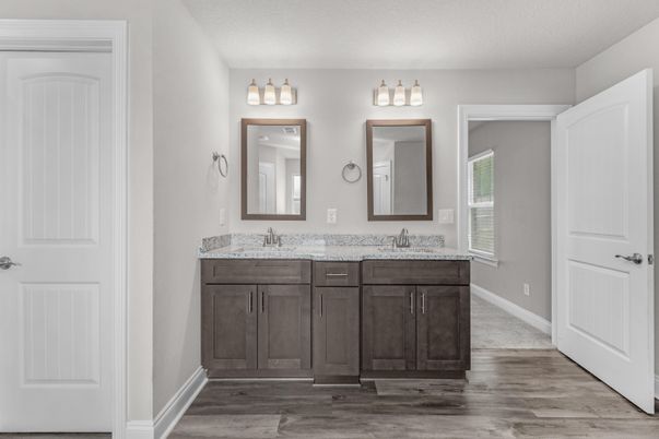Bathroom, Dual Sink Vanities, Interior, Wood Texture Flooring