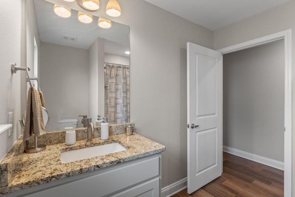 Bathroom, Interior, Wood Texture Flooring
