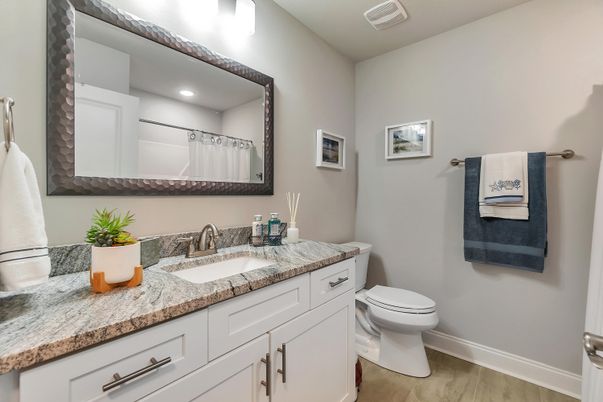 Bathroom, Interior, Wood Texture Flooring