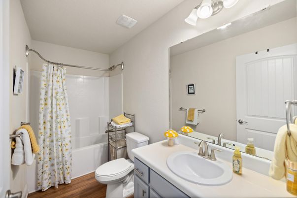 Bathroom, Interior, Wood Texture Flooring