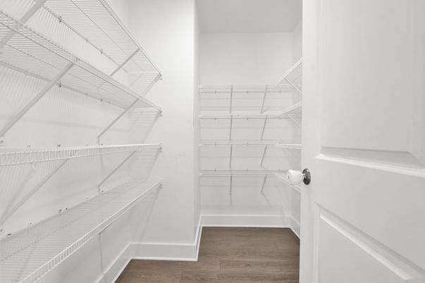 Interior, Walk-in Closets, Wood Texture Flooring