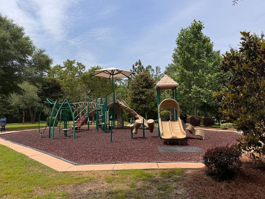 Backyard, Exterior, Playground