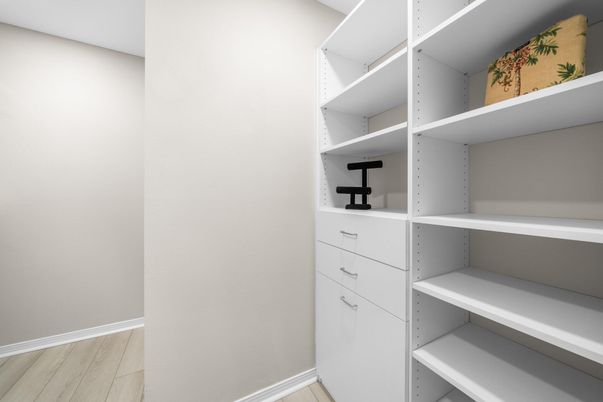 Interior, Walk-in Closets, Wood Texture Flooring