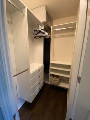 Interior, Walk-in Closets, Wood Texture Flooring