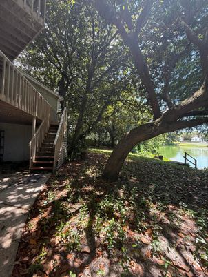 Backyard, Exterior, Water