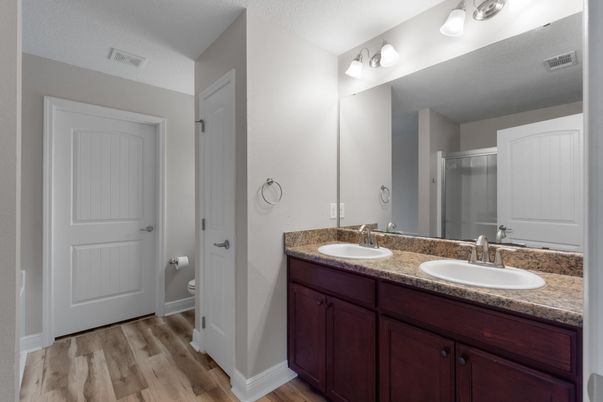 Bathroom, Dual Sink Vanities, Interior, Wood Texture Flooring