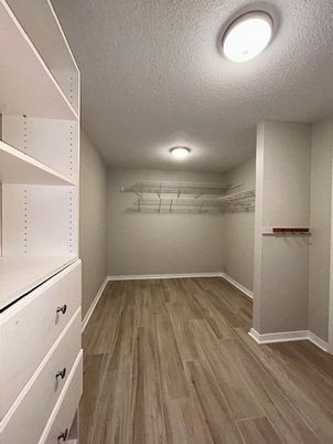 Interior, Walk-in Closets, Wood Texture Flooring