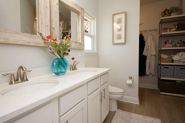 Bathroom, Dual Sink Vanities, Interior, Wood Texture Flooring
