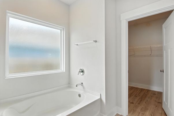 Bathroom, Interior, Walk-in Closets, Wood Texture Flooring