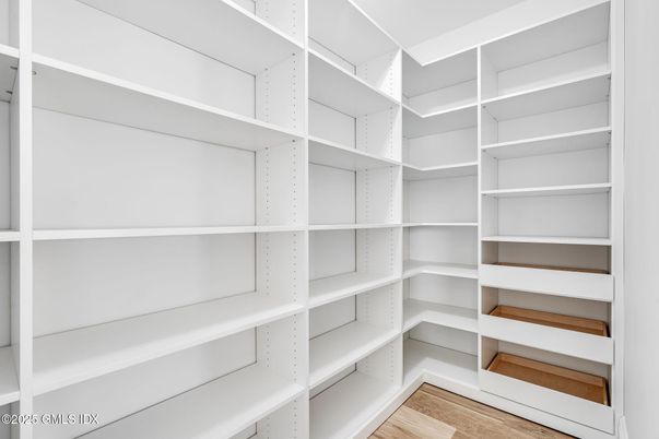 Interior, Walk-in Closets, Wood Texture Flooring