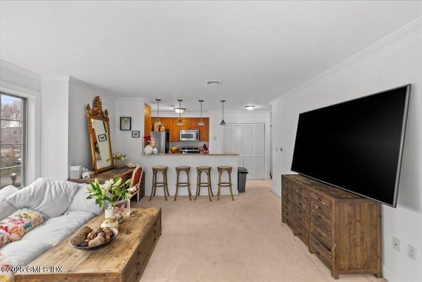 Interior, Kitchen, Living room, Pendant Lights, Stainless Steel Appliances
