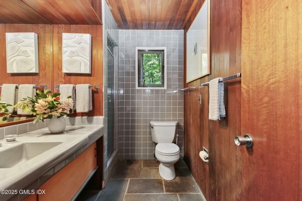 Bathroom, Interior, Wooden Ceilings