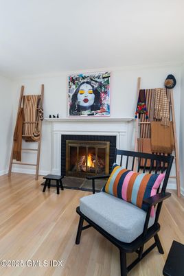 Fireplace, Interior, Wood Texture Flooring