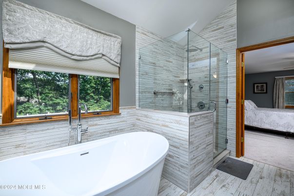 Bathroom, Free Standing Baths, Glass Shower, Interior