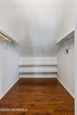 Interior, Walk-in Closets, Wood Texture Flooring