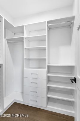Interior, Walk-in Closets, Wood Texture Flooring