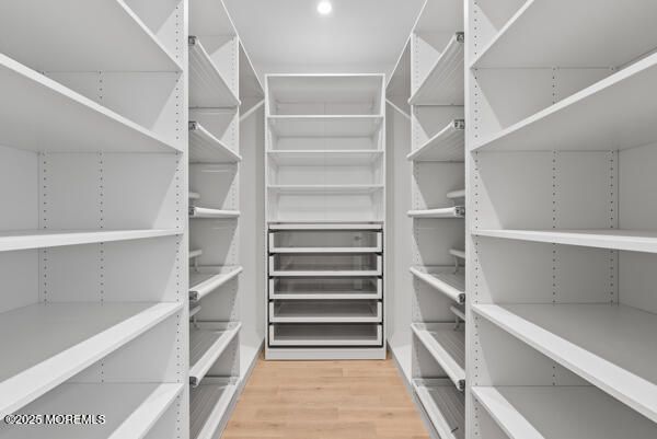 Interior, Recessed Lighting, Walk-in Closets, Wood Texture Flooring