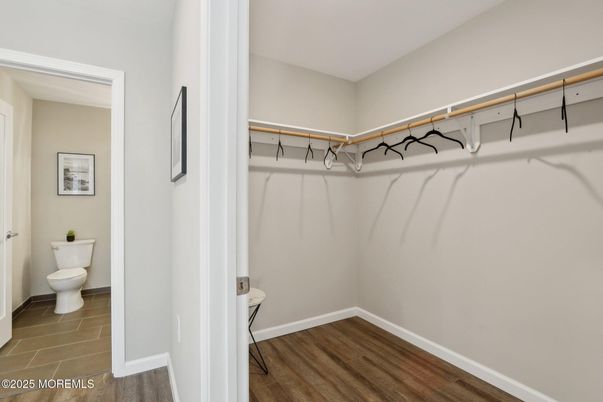 Bathroom, Interior, Walk-in Closets, Wood Texture Flooring