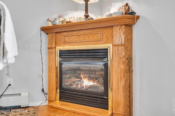 Fireplace, Interior, Piano, Wood Texture Flooring