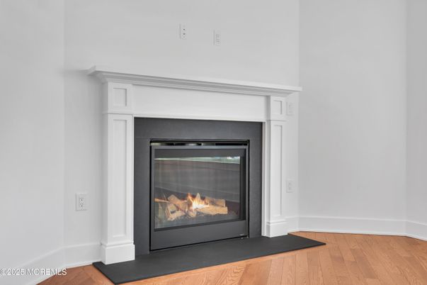 Fireplace, Interior, Wood Texture Flooring