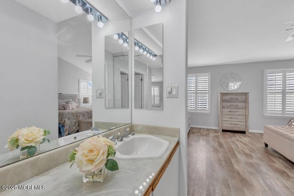 Bathroom, Interior, Wood Texture Flooring