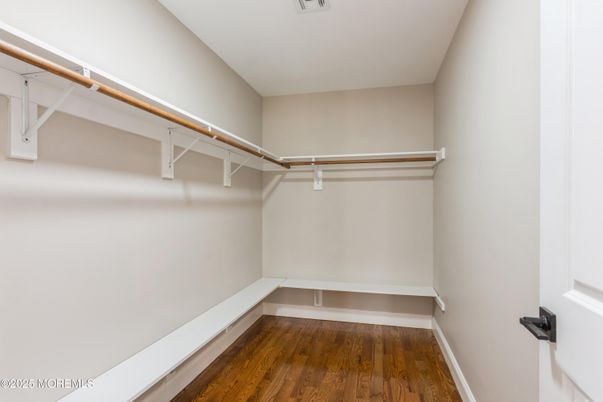 Interior, Walk-in Closets, Wood Texture Flooring