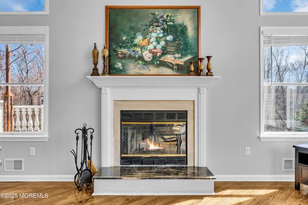 Fireplace, Interior, Wood Texture Flooring