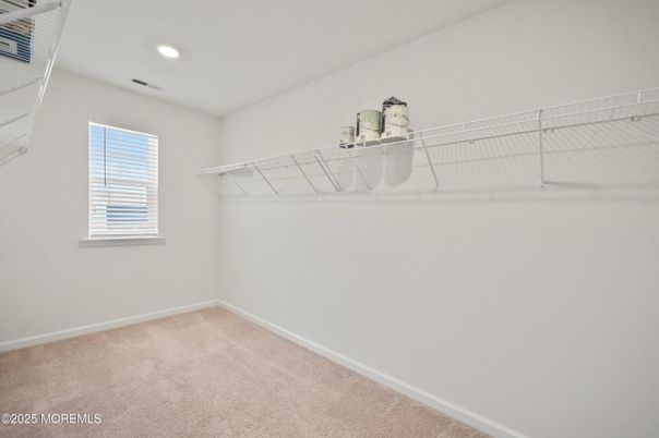 Interior, Recessed Lighting, Walk-in Closets