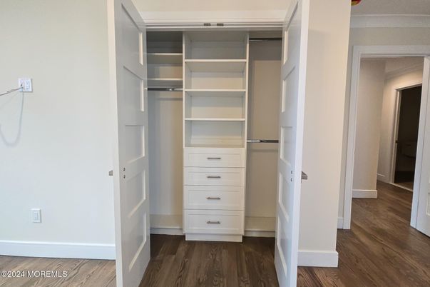 Interior, Walk-in Closets, Wood Texture Flooring