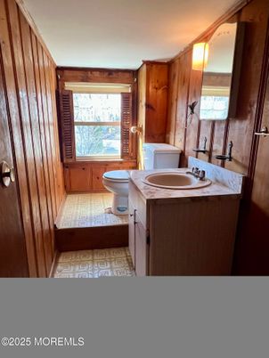 Bathroom, Interior, Wooden Walls