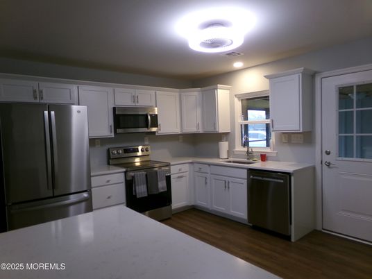Interior, Kitchen, Recessed Lighting, Stainless Steel Appliances, Wood Texture Flooring