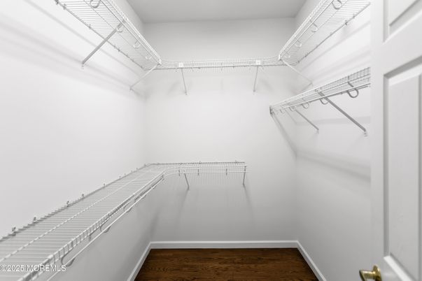 Interior, Walk-in Closets, Wood Texture Flooring