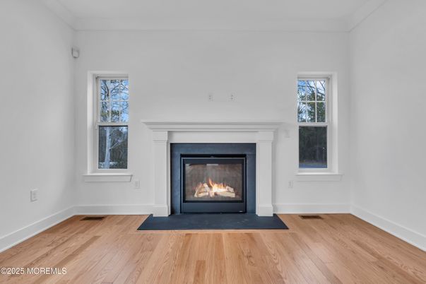 Fireplace, Interior, Wood Texture Flooring