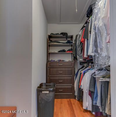 Interior, Walk-in Closets, Wood Texture Flooring