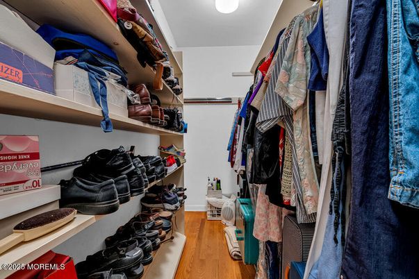 Interior, Walk-in Closets, Wood Texture Flooring