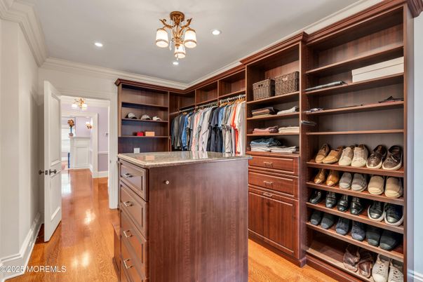 Interior, Recessed Lighting, Walk-in Closets, Wood Texture Flooring