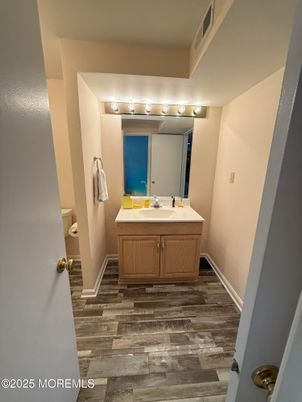 Bathroom, Interior, Wood Texture Flooring
