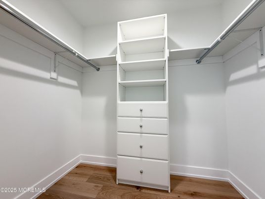 Interior, Walk-in Closets, Wood Texture Flooring