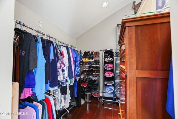Interior, Walk-in Closets, Wood Texture Flooring
