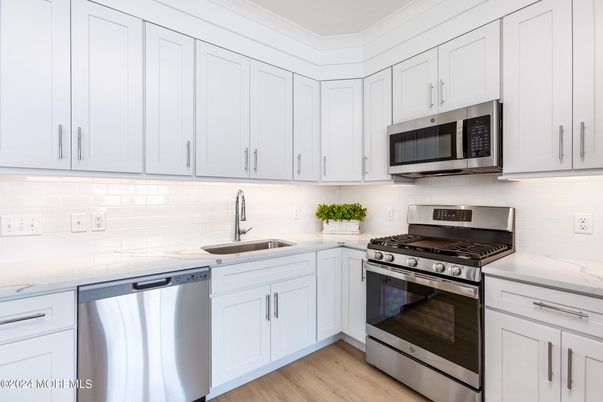 Interior, Kitchen, Stainless Steel Appliances, Wood Texture Flooring