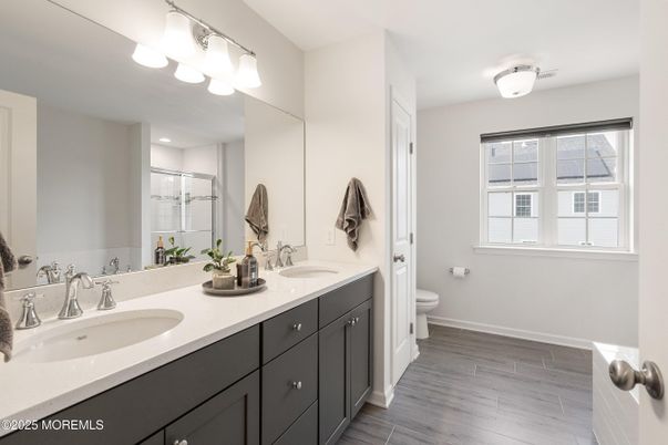 Bathroom, Dual Sink Vanities, Interior, Wood Texture Flooring