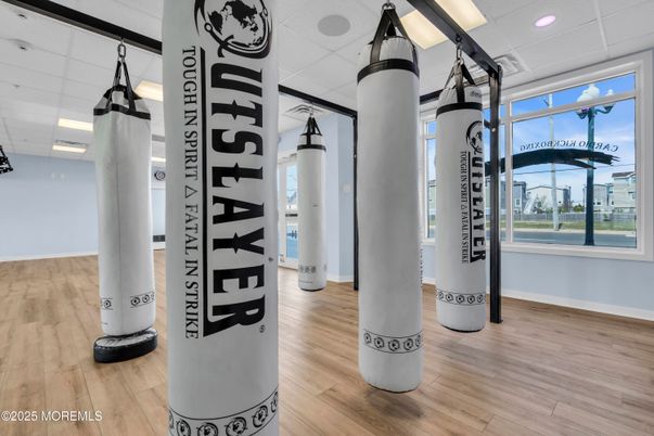 Fitness Equipment, Interior, Recessed Lighting, Wood Texture Flooring