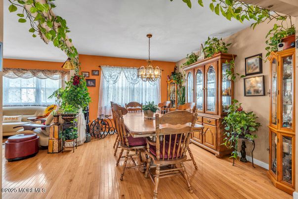 Chandelier, Dining room, Interior, Living room, Wood Texture Flooring
