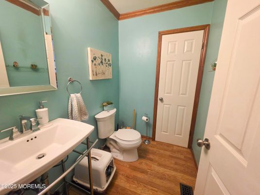 Bathroom, Interior, Wood Texture Flooring