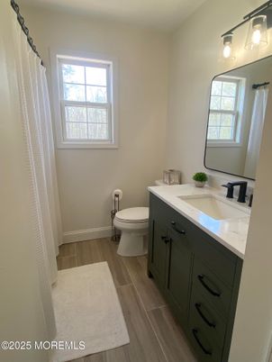 Bathroom, Interior, Wood Texture Flooring