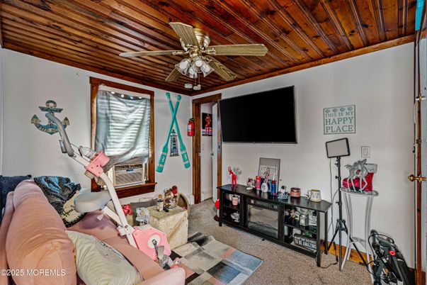 Interior, Wooden Ceilings