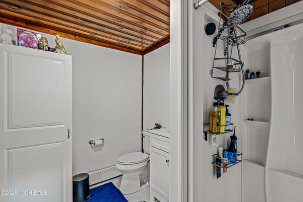 Bathroom, Interior, Wooden Ceilings