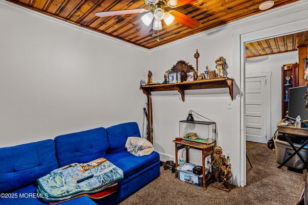Interior, Wooden Ceilings