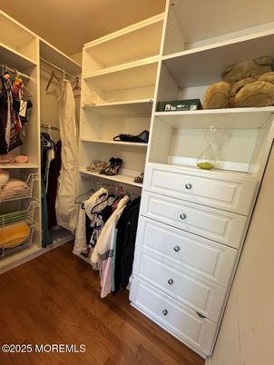 Interior, Walk-in Closets, Wood Texture Flooring