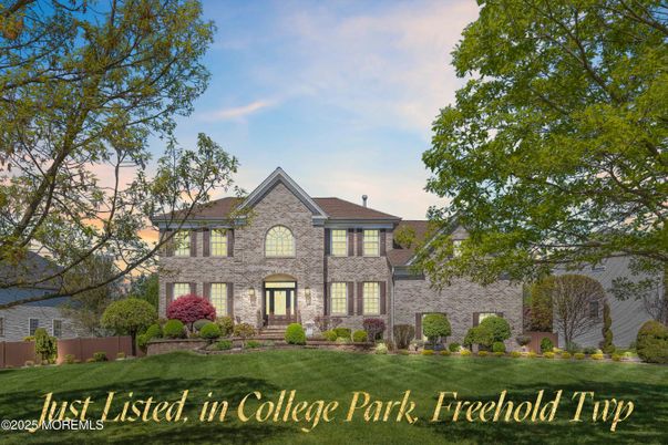 Backyard, Exterior, Facade, Brick Facade, French Provincial